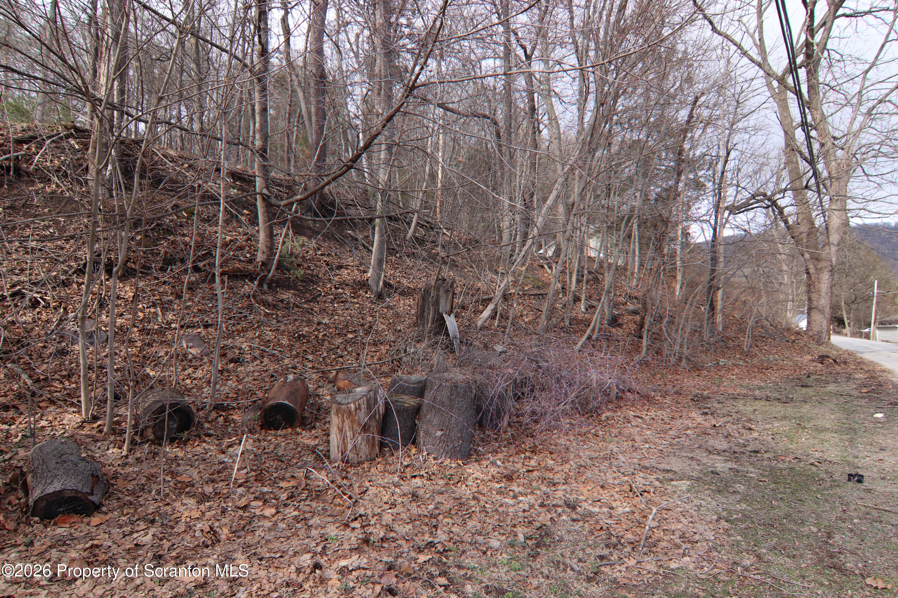 502 State Rte 92 South Tunkhannock, PA 18657 - Photo 50 of 52 a backyard of a house with lots of green space