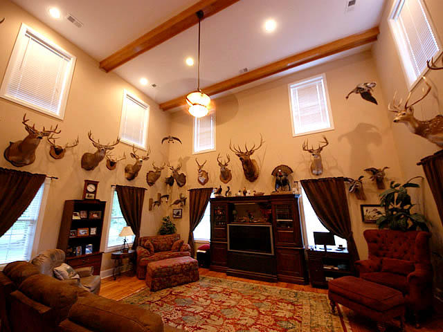 1728 Pinopolis Road Moncks Corner, SC 29461 - Photo 20 of 25 46-edt