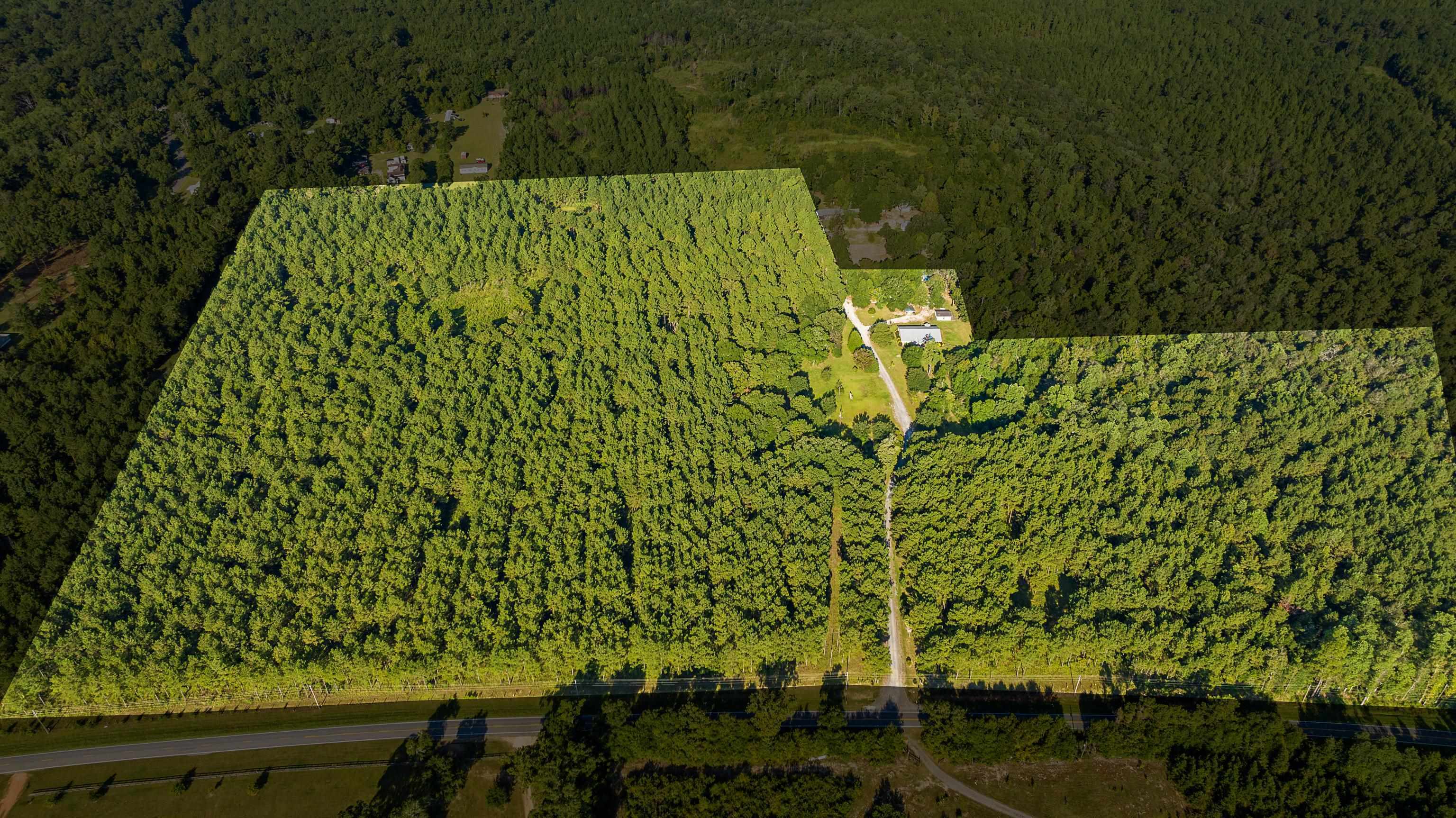 9350 Tompkins Road Stockton, AL 36579 - Photo 3 of 36 View of property location with a heavily wooded area
