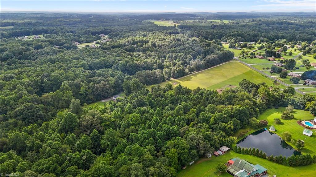 5325 Birds View Road Randleman, NC 27317 - Photo 9 of 28 Gallery Image 9