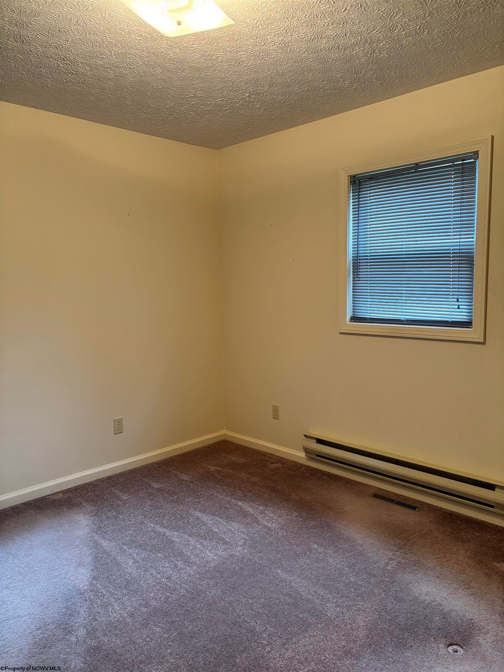 181 Co Rte 14/1 Elkins, WV 26241 - Photo 12 of 19 Gallery Image 12