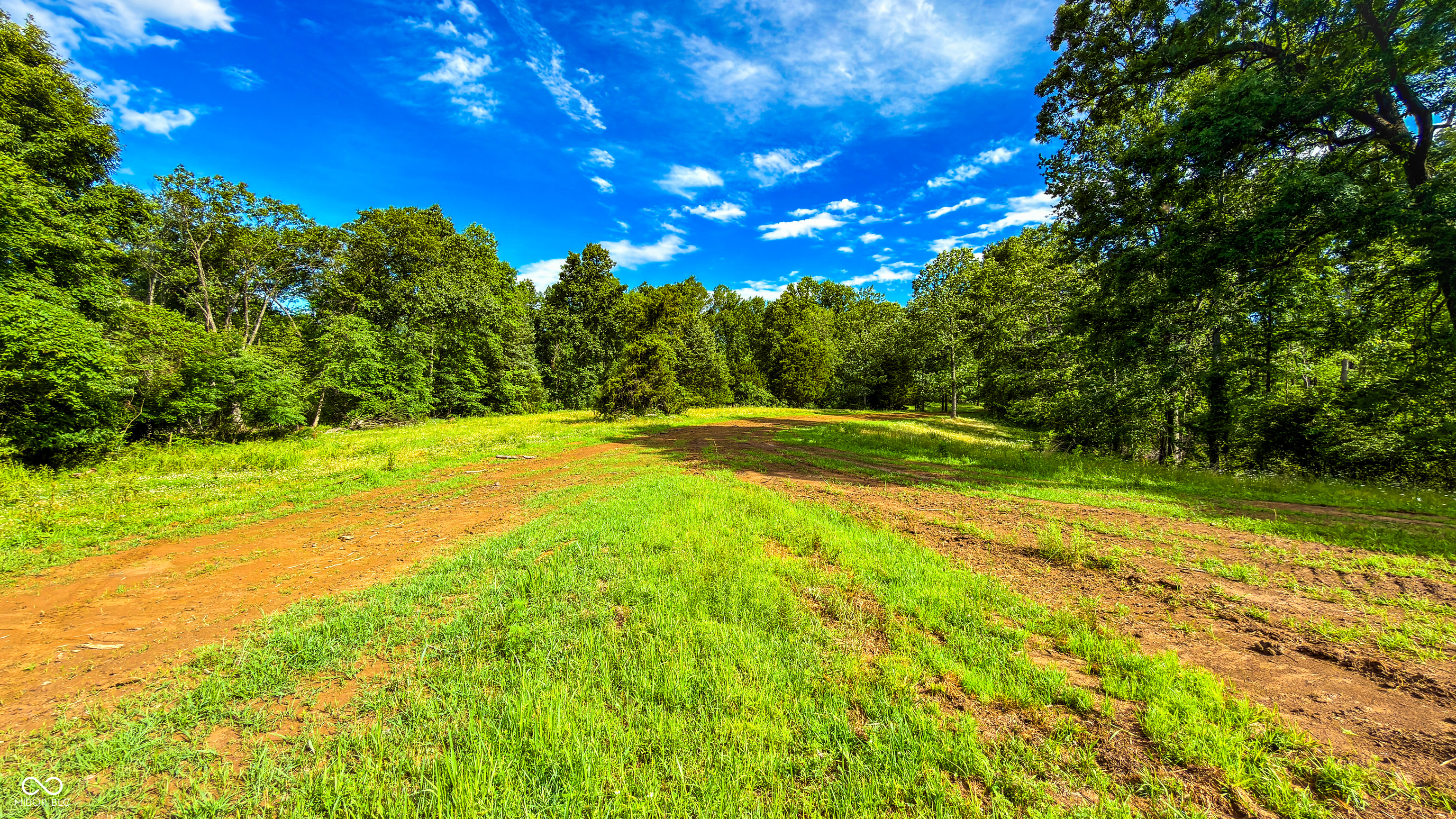 0 Beech Tree Road Nineveh, IN 46164 - Photo 48 of 81