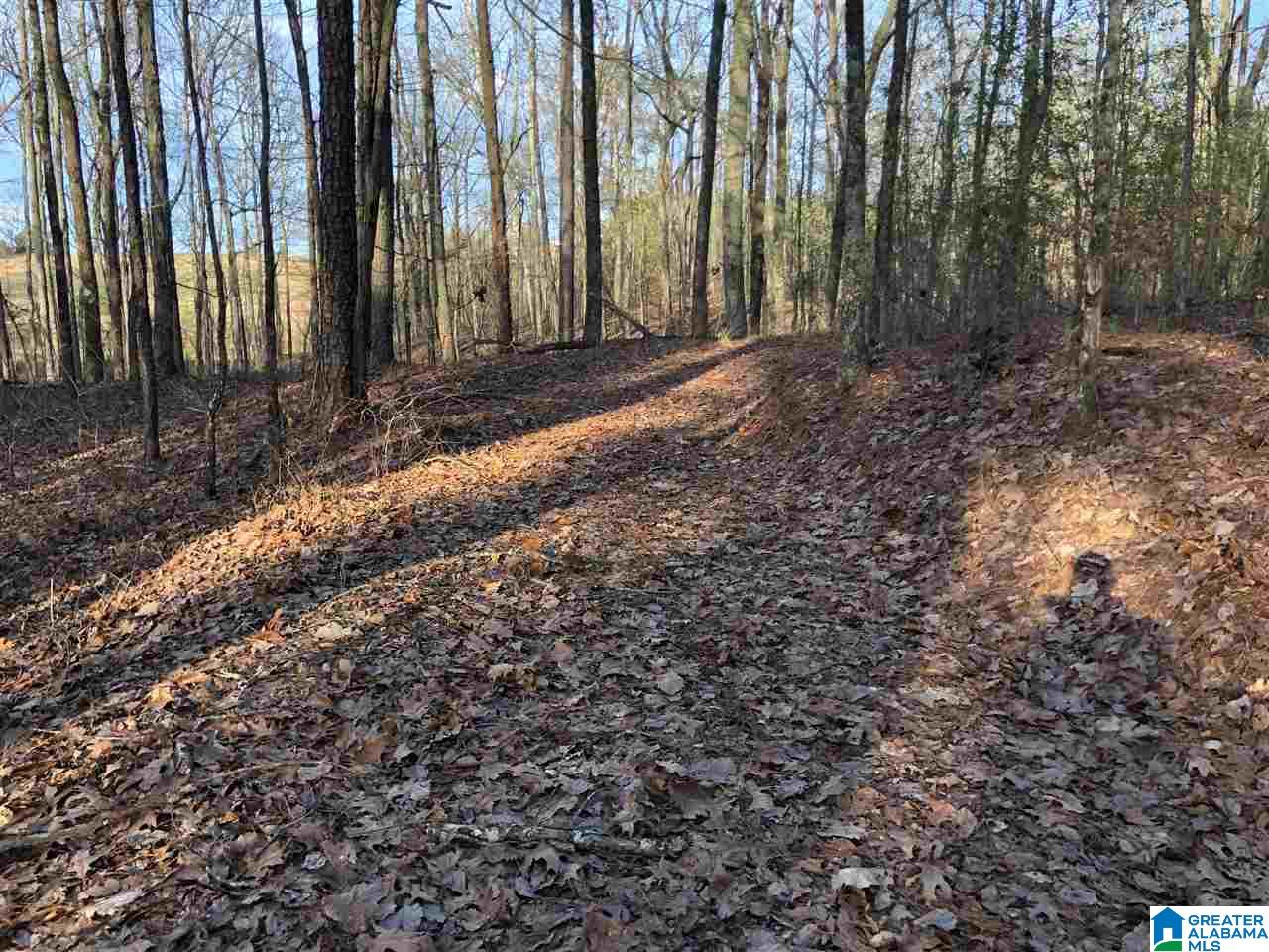 0 Drake Drive Springville, AL 35146 - Photo 11 of 23