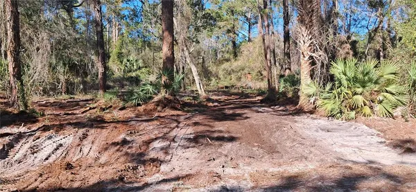 $13,300 | 120 Gardenia Avenue, Georgetown, FL 32139