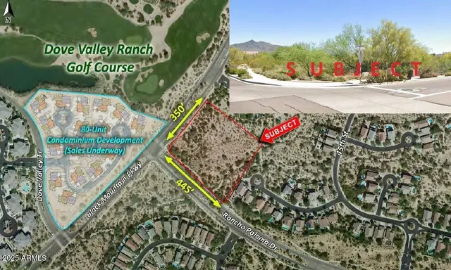 a view of a book shelf with flower plants
