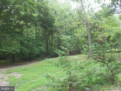 3514 Oaklawn Road Fort Washington, MD 20744 - Photo 11 of 22 View