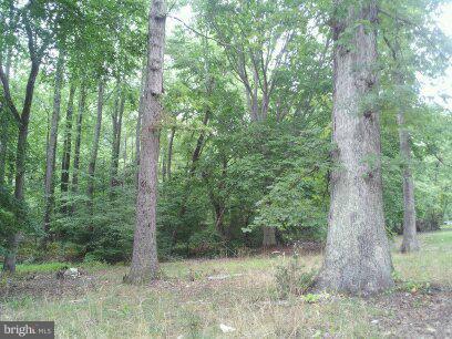 3514 Oaklawn Road Fort Washington, MD 20744 - Photo 12 of 22 View
