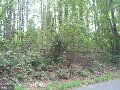 3514 Oaklawn Road Fort Washington, MD 20744 - Photo 13 of 22 View