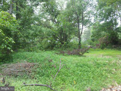 3514 Oaklawn Road Fort Washington, MD 20744 - Photo 14 of 22 View