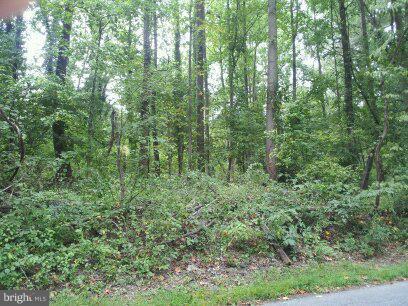 3514 Oaklawn Road Fort Washington, MD 20744 - Photo 15 of 22 View