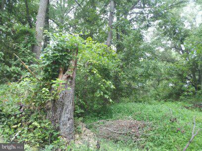 3514 Oaklawn Road Fort Washington, MD 20744 - Photo 16 of 22 View