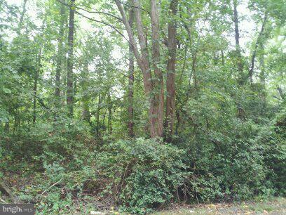 3514 Oaklawn Road Fort Washington, MD 20744 - Photo 17 of 22 View