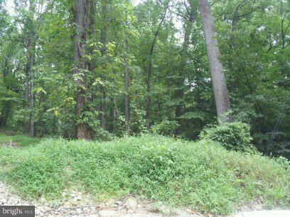 3514 Oaklawn Road Fort Washington, MD 20744 - Photo 20 of 22 View