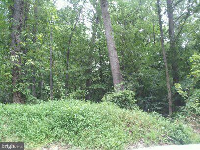 3514 Oaklawn Road Fort Washington, MD 20744 - Photo 22 of 22 View