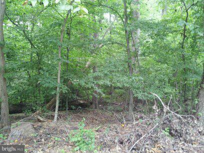 3514 Oaklawn Road Fort Washington, MD 20744 - Photo 6 of 22 View