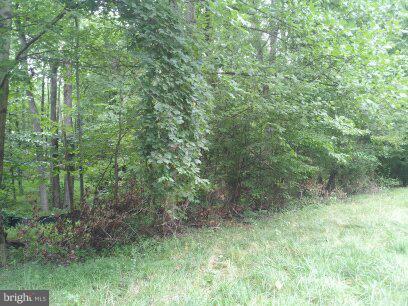 3514 Oaklawn Road Fort Washington, MD 20744 - Photo 7 of 22 View