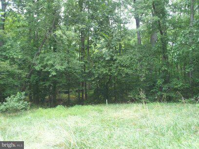 3514 Oaklawn Road Fort Washington, MD 20744 - Photo 8 of 22 View