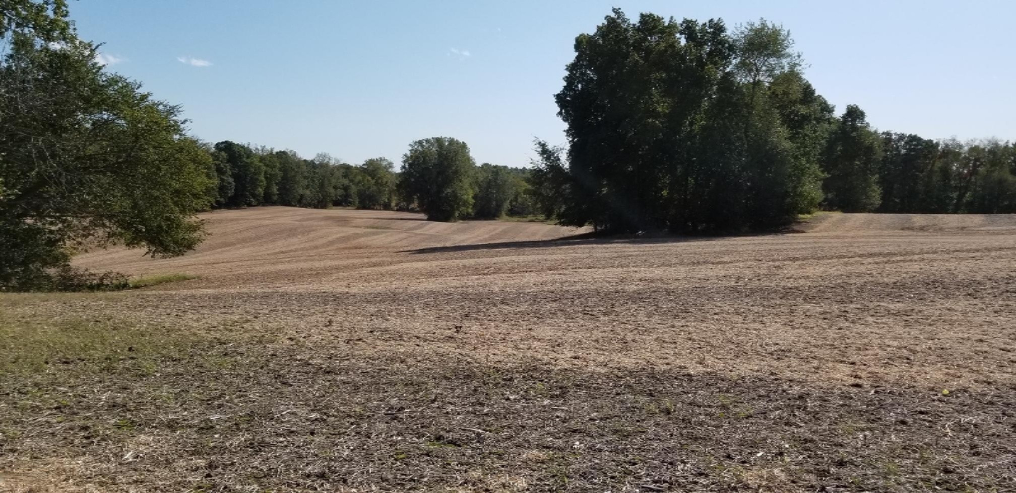 0 Mt Tabor Road Buchanan, MI 49107 - Photo 2 of 14 90 Acres (1)