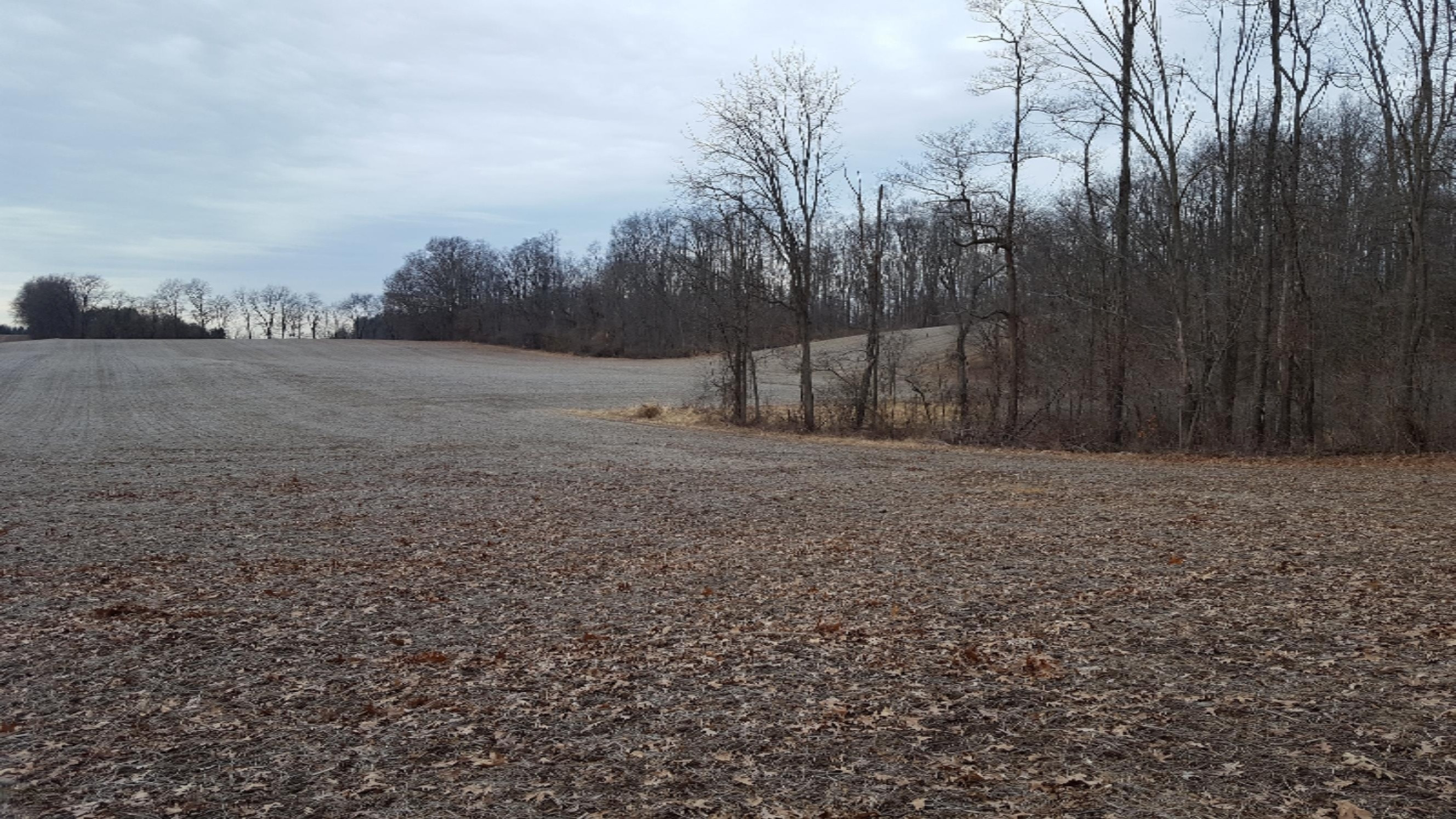0 Mt Tabor Road Buchanan, MI 49107 - Photo 3 of 14 90 Acres (2)