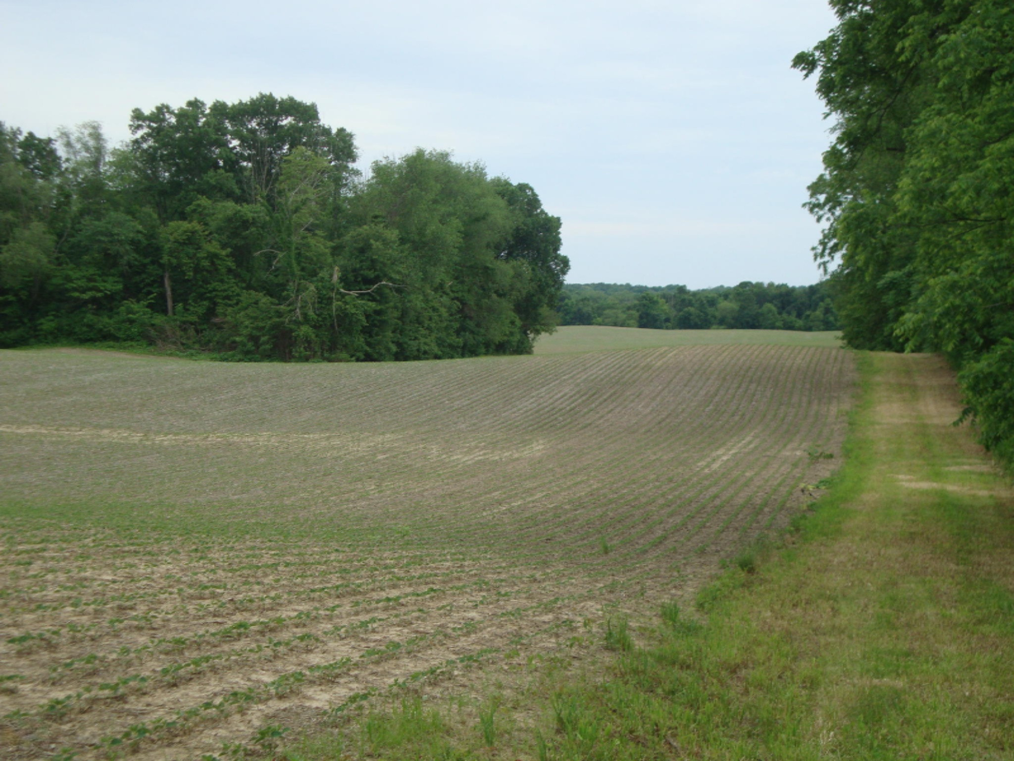 0 Mt Tabor Road Buchanan, MI 49107 - Photo 9 of 14 DSC01911