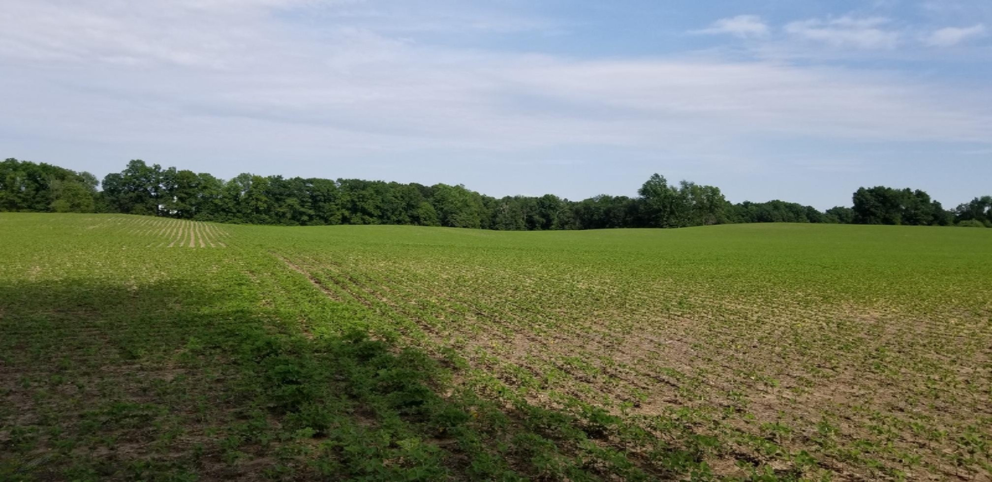 0 Mt Tabor Road Buchanan, MI 49107 - Photo 10 of 14 90 Acres (3)