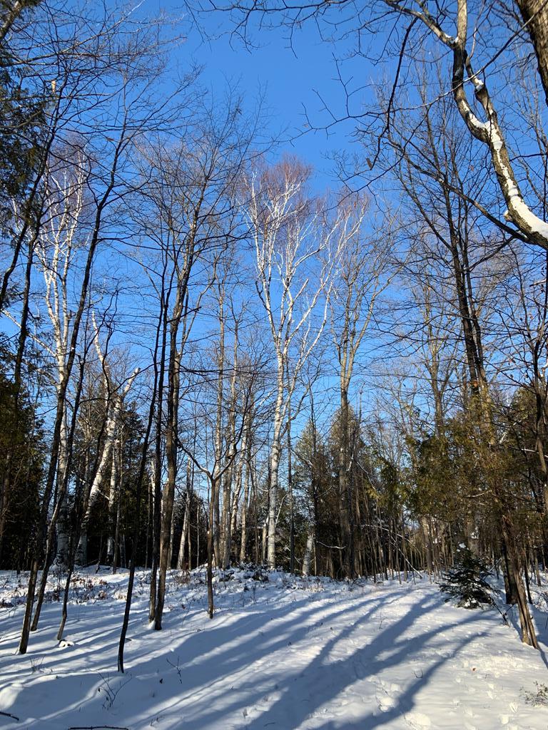 Lot 43 Gibraltar Road Fish Creek, WI 54212 - Photo 14 of 18