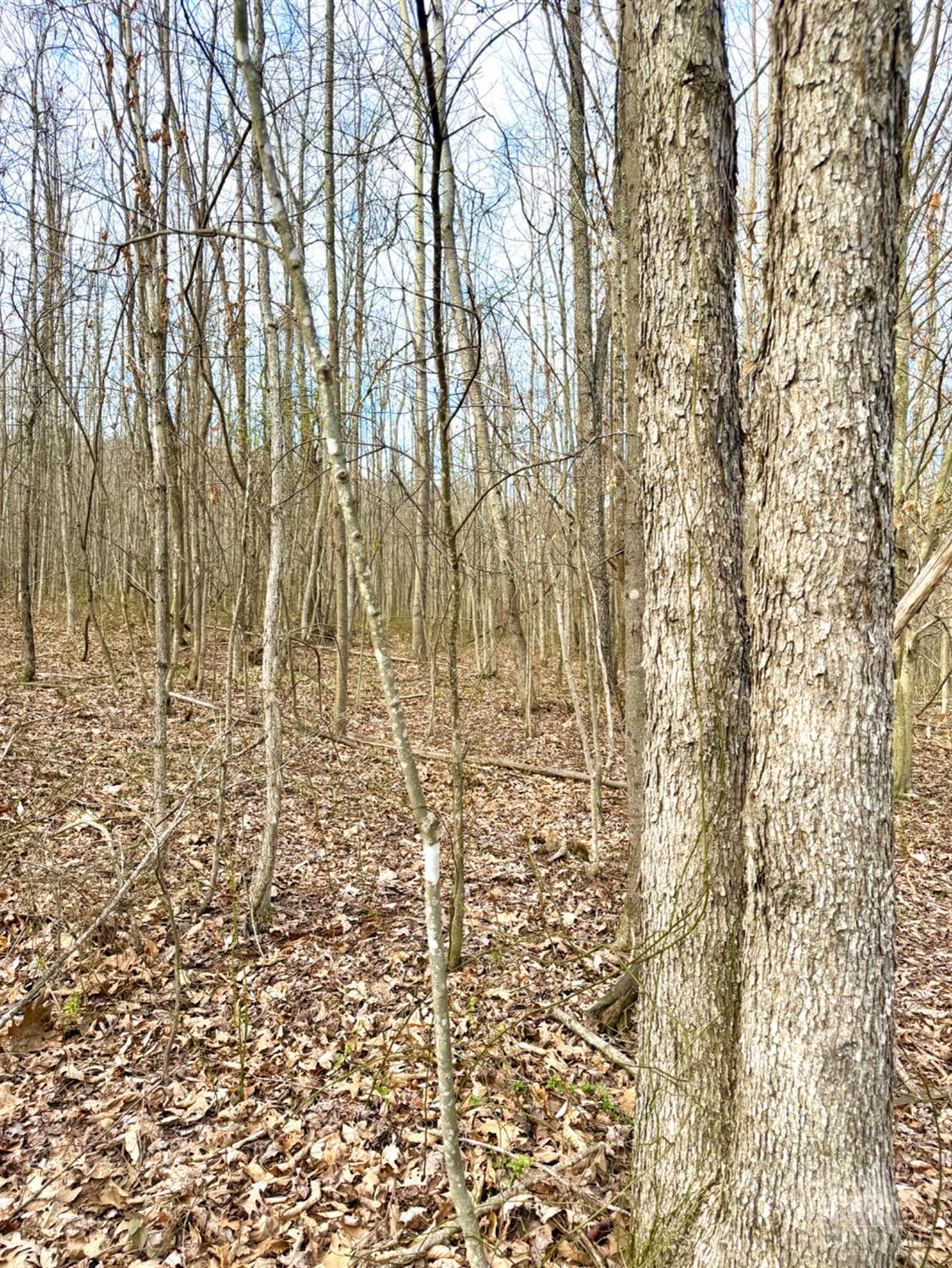 0 Fyffe Hollow Road Chillicothe, OH 45601 - Photo 23 of 96