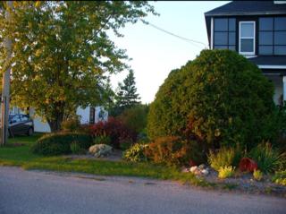 2888 West 10 Mile Road Dafter, MI 49724 - Photo 27 of 41 Gallery Image 27