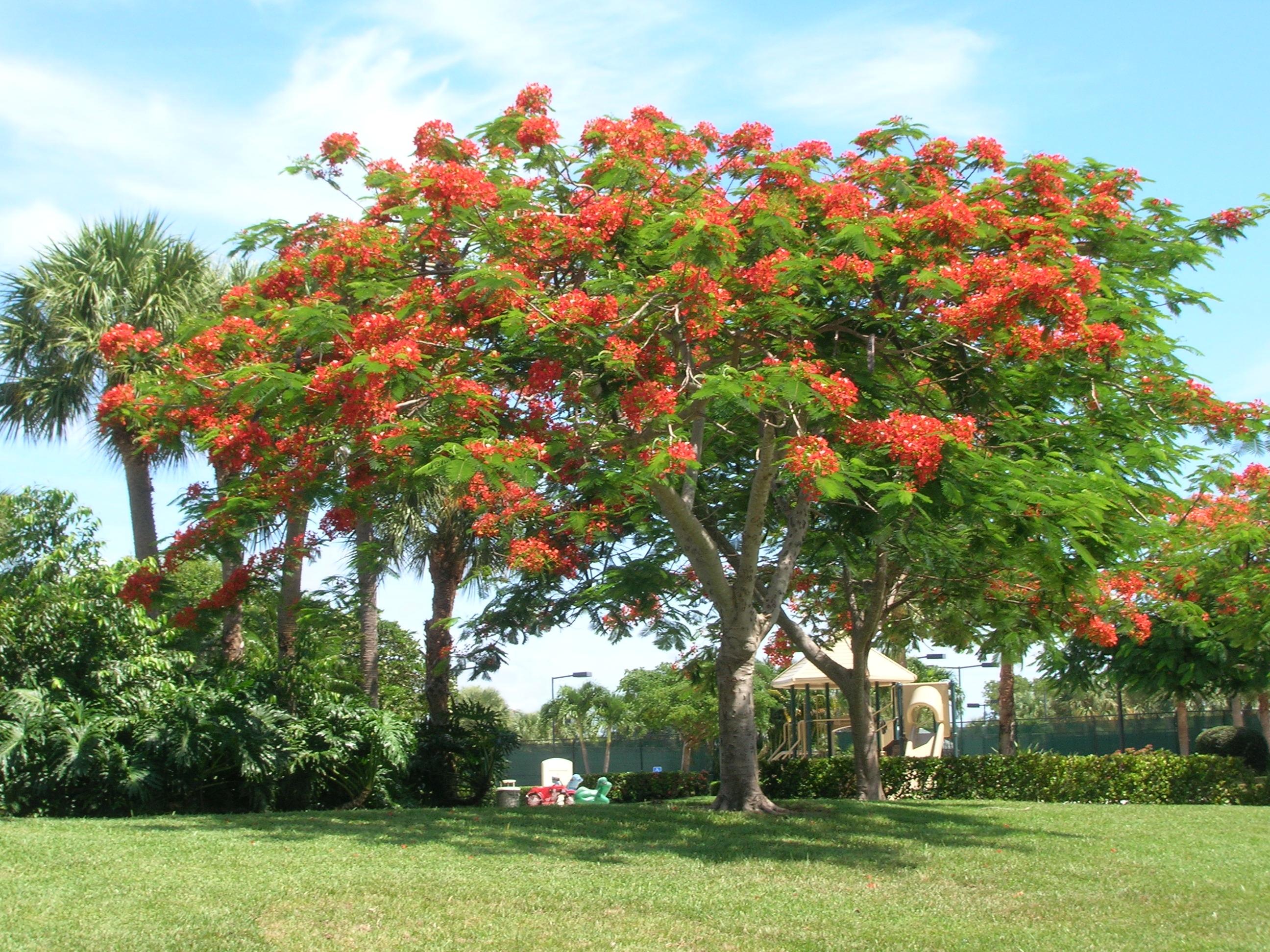 388 River Edge Road Jupiter, FL 33477 - Photo 25 of 29 DSCN1748