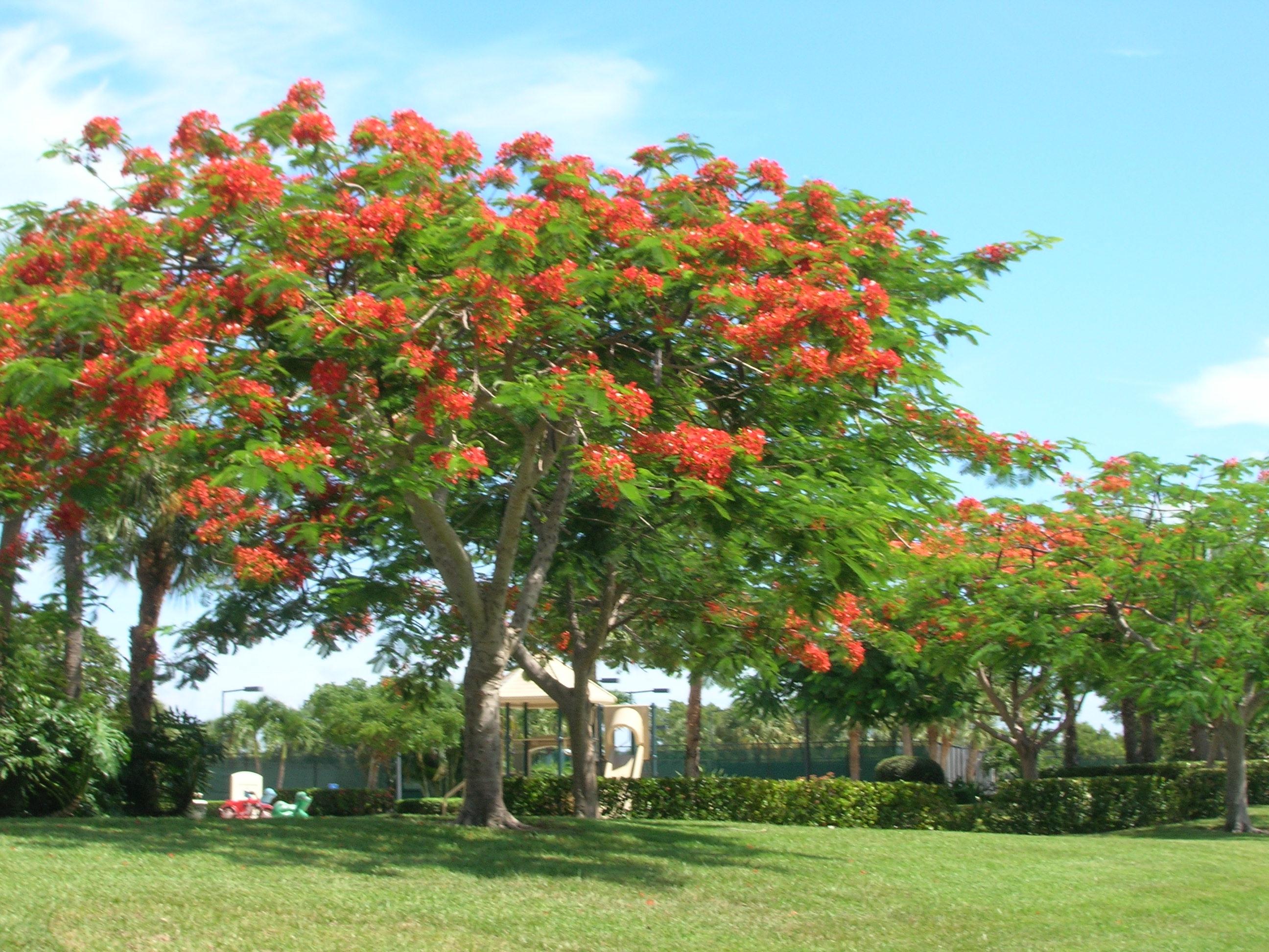 388 River Edge Road Jupiter, FL 33477 - Photo 26 of 29 DSCN1749