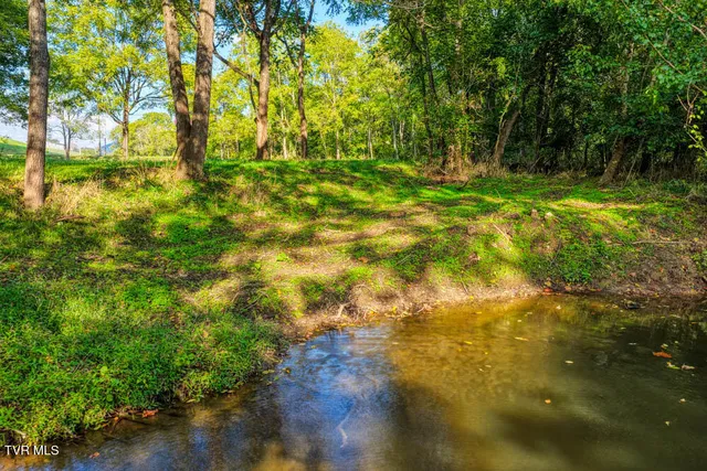 $59,900 | Tbd New Salem Road, Rogersville, TN 37857