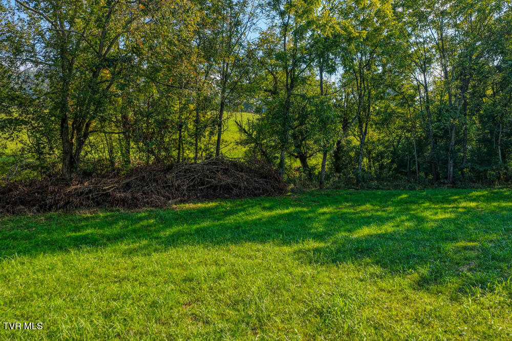 Tbd New Salem Road Rogersville, TN 37857 - Photo 4 of 24 New Salem. Rog MLSa (2 of 24)