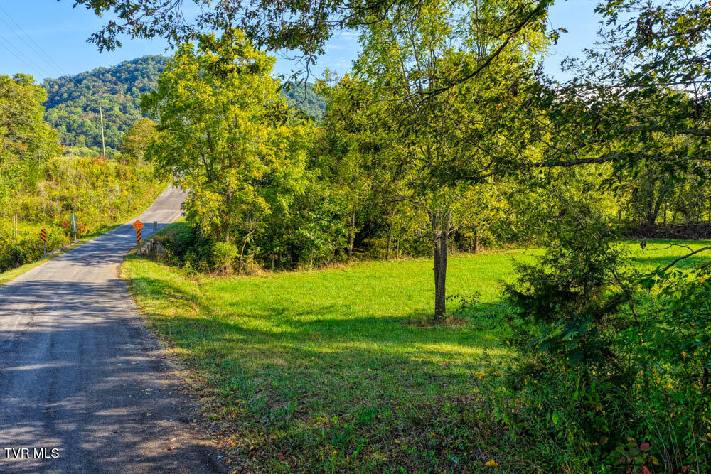 Tbd New Salem Road Rogersville, TN 37857 - Photo 6 of 24 New Salem. Rog MLSa (4 of 24)