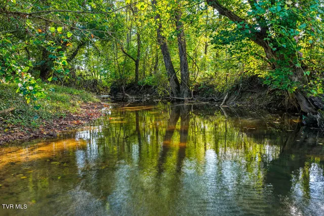 $59,900 | Tbd New Salem Road, Rogersville, TN 37857