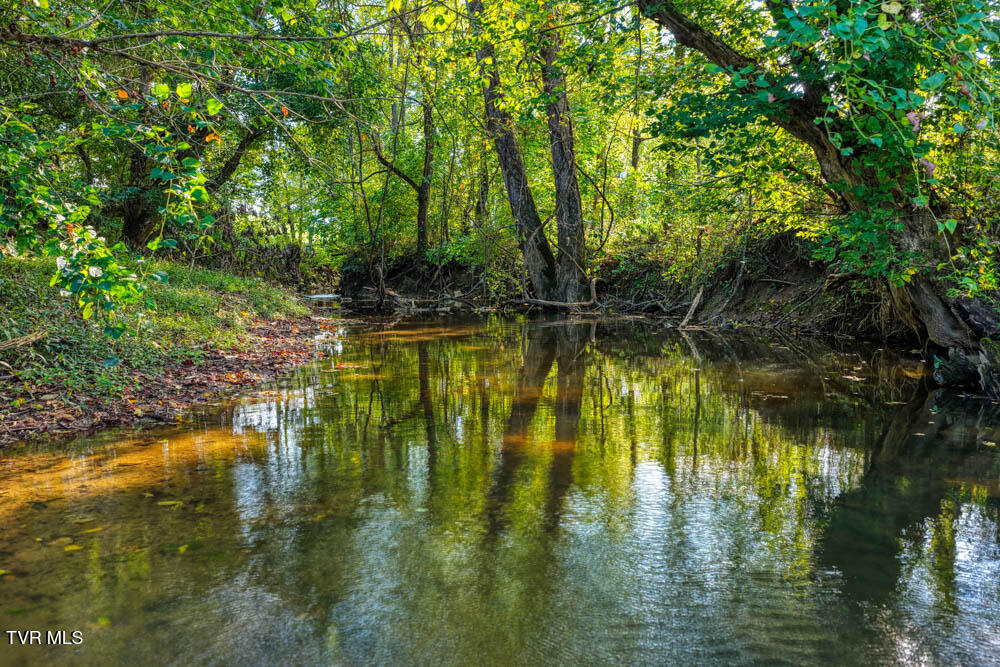 Tbd New Salem Road Rogersville, TN 37857 - Photo 9 of 24 New Salem. Rog MLSa (8 of 24)