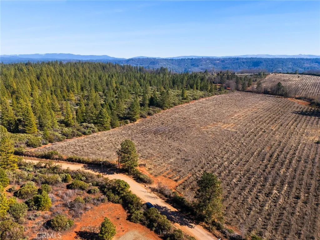 0 Doe Mill Road Magalia, CA 95954 - Photo 8 of 13 a view of a yard with an ocean