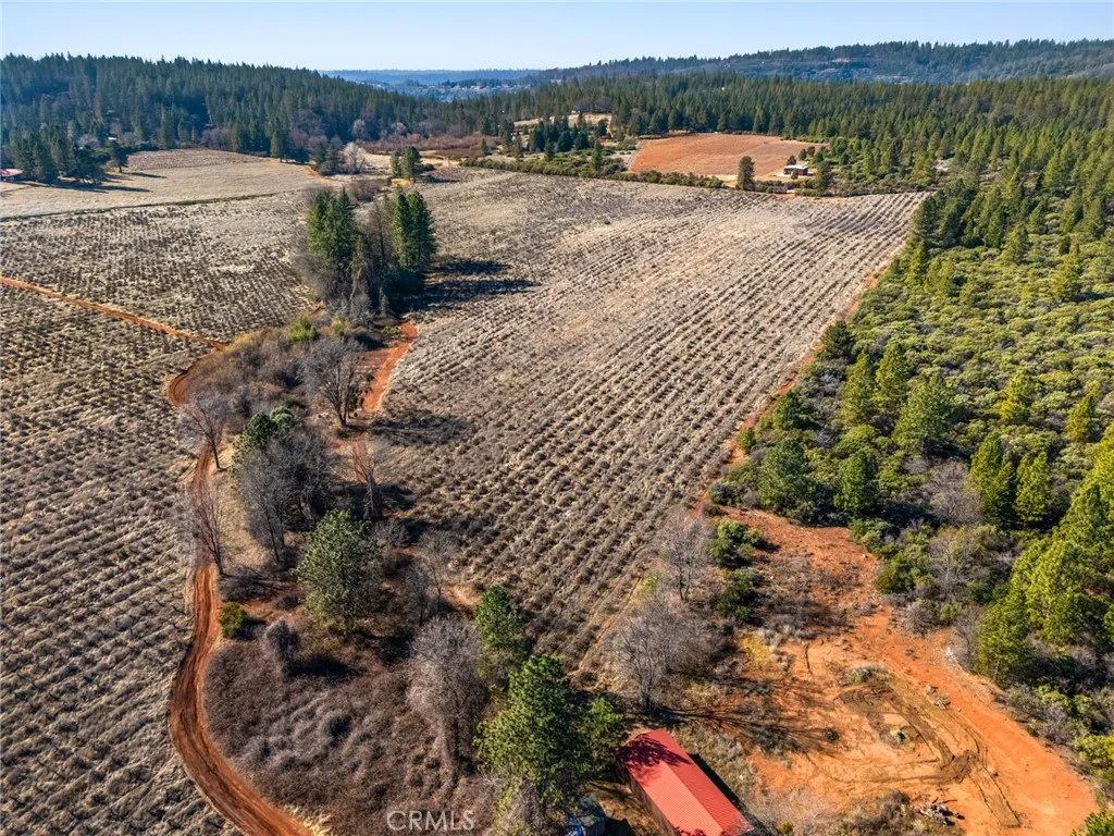 0 Doe Mill Road Magalia, CA 95954 - Photo 10 of 13 a view of a backyard