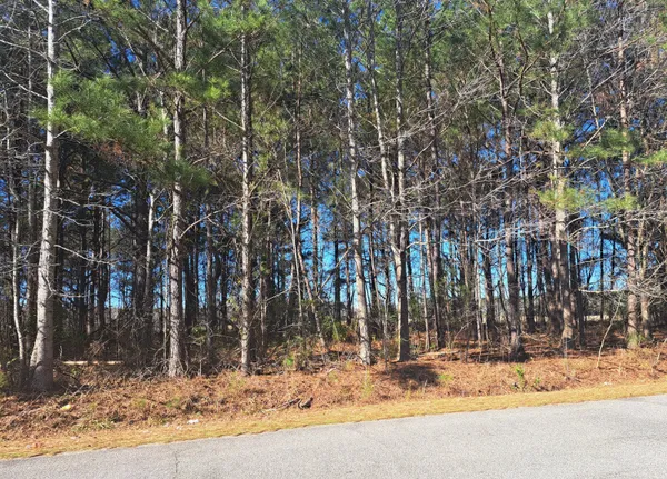 $58,900 | 1 Antioch Road, Santee, SC 29142