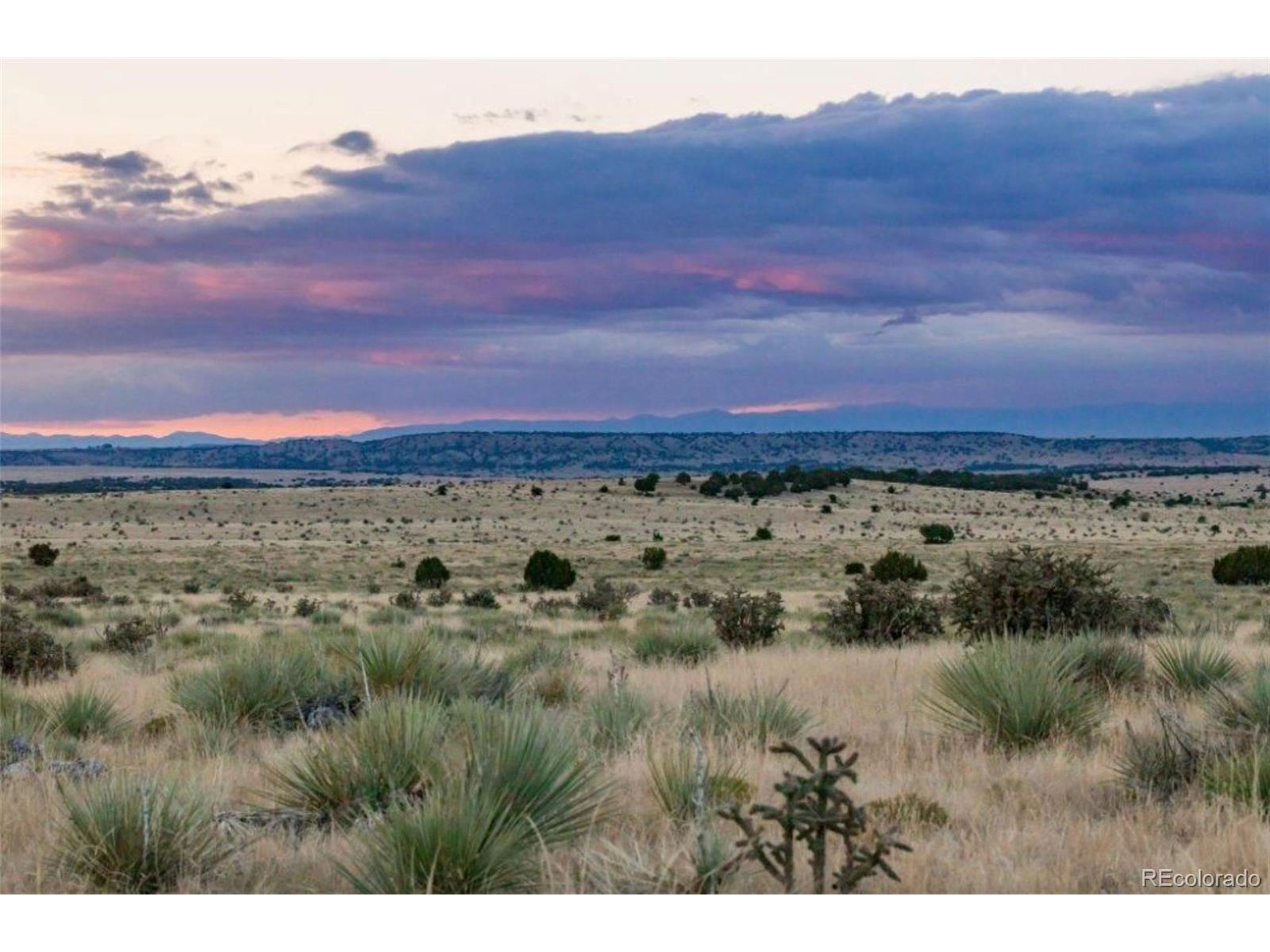 232 Turkey Ridge Ranch Walsenburg, CO 81089 - Photo 2 of 8