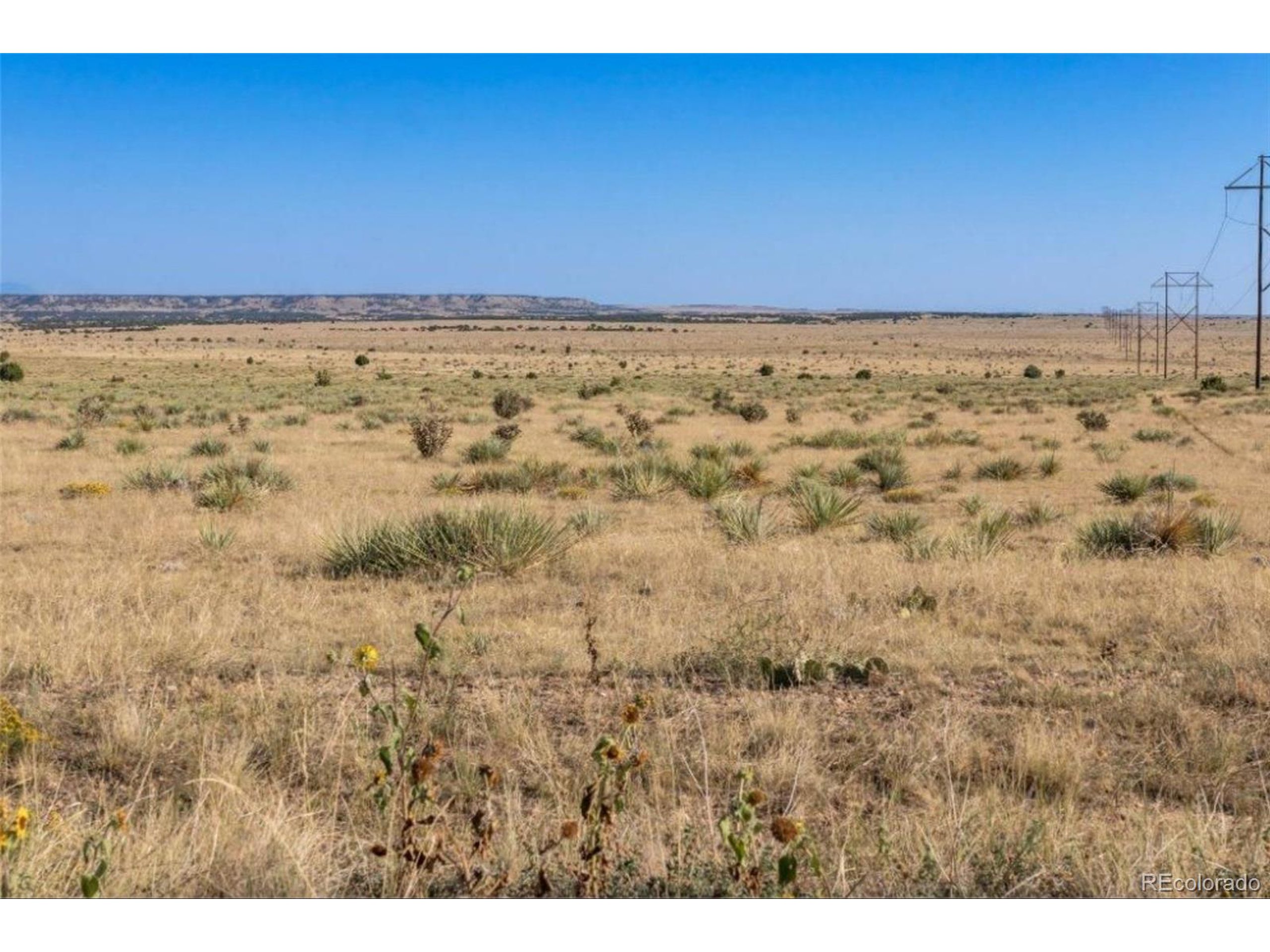 232 Turkey Ridge Ranch Walsenburg, CO 81089 - Photo 7 of 8