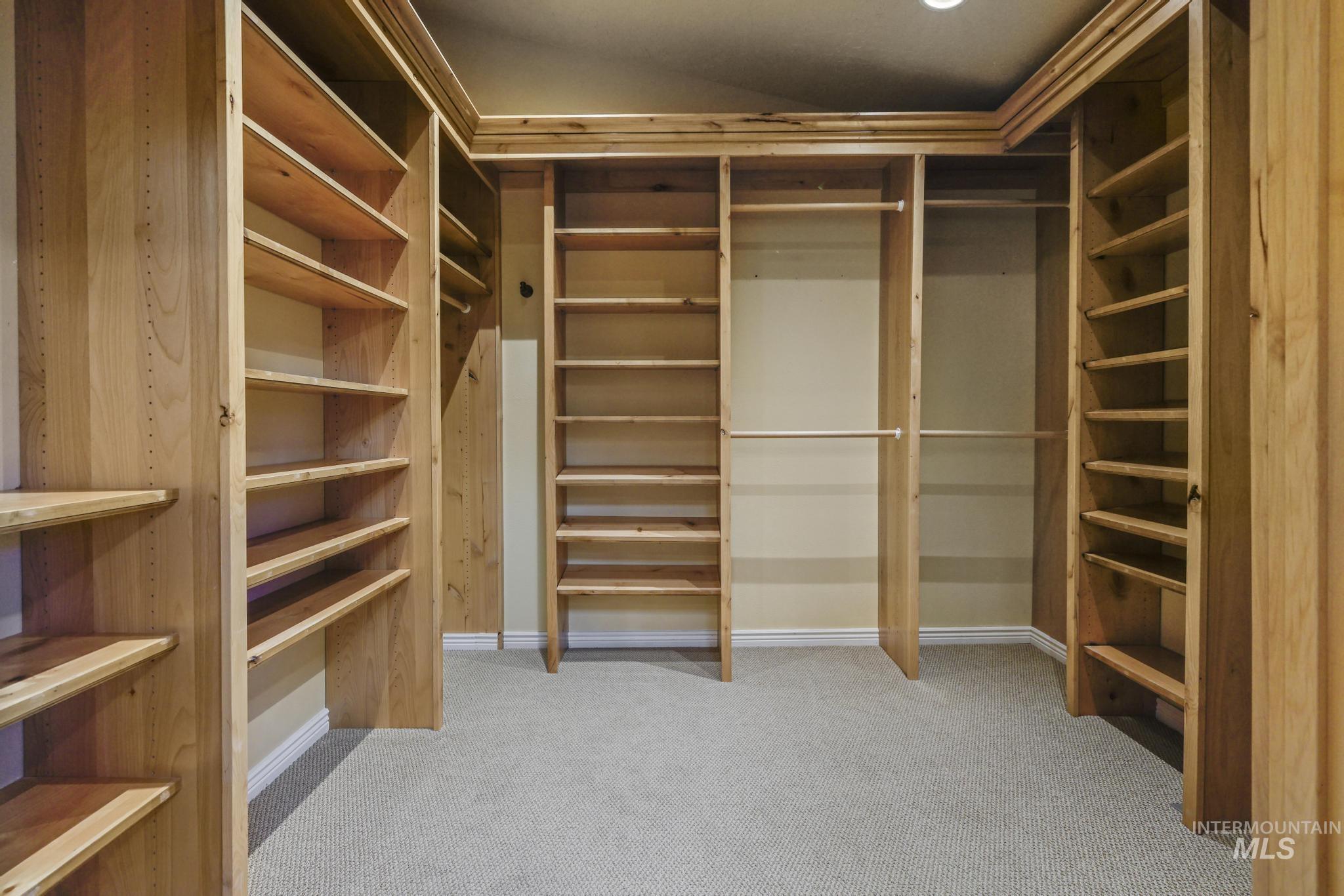 1172 Hankins Road North Twin Falls, ID 83301 - Photo 32 of 49 Walk in closet with light carpet