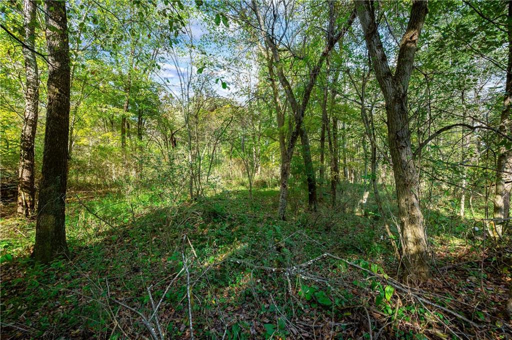 61 Mcmillan Road Mercer, PA 16137 - Photo 28 of 28 Gallery Image 28