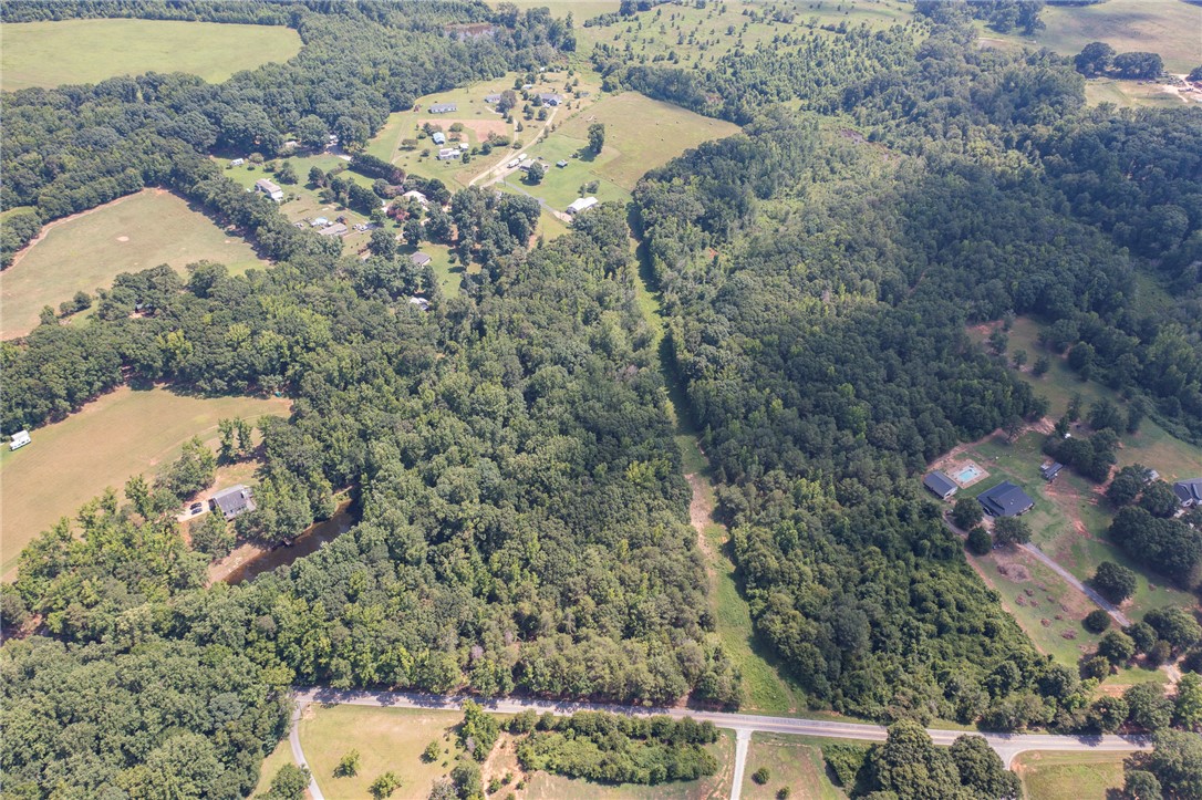 Lot 1 Austin Road Honea Path, SC 29654 - Photo 6 of 7 An aerial perspective reveals a sprawling, verdant landscape with pockets of residential development.