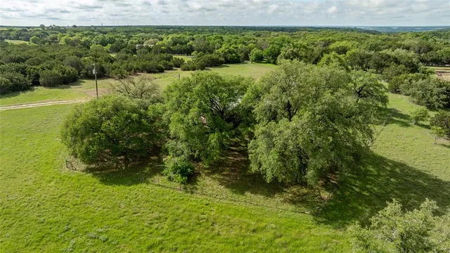 a view of a garden with a lake