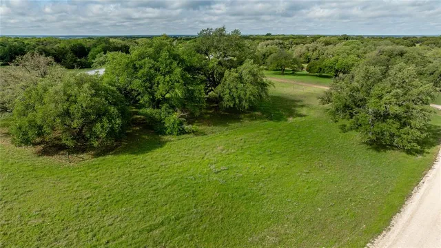 an aerial view of residential houses with outdoor space and trees