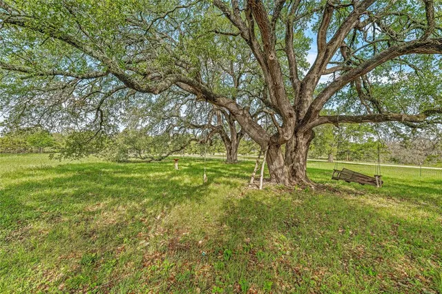 a big yard with lots of green space and trees in the background