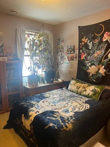 $542,500 | 6066 259th Street, Wyoming, MN 55092