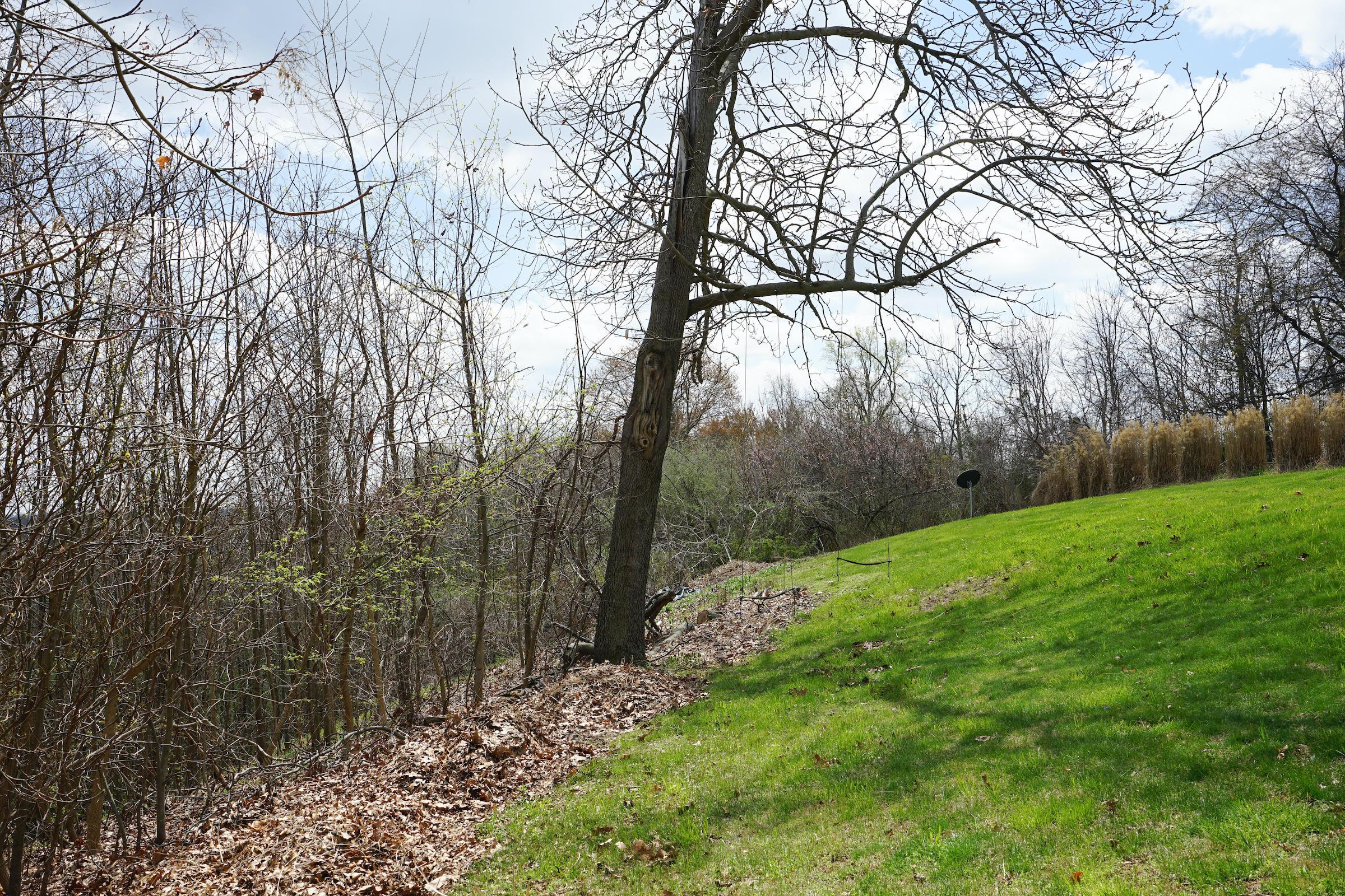 4404 Hunt Road Hopewell, OH 43746 - Photo 5 of 22