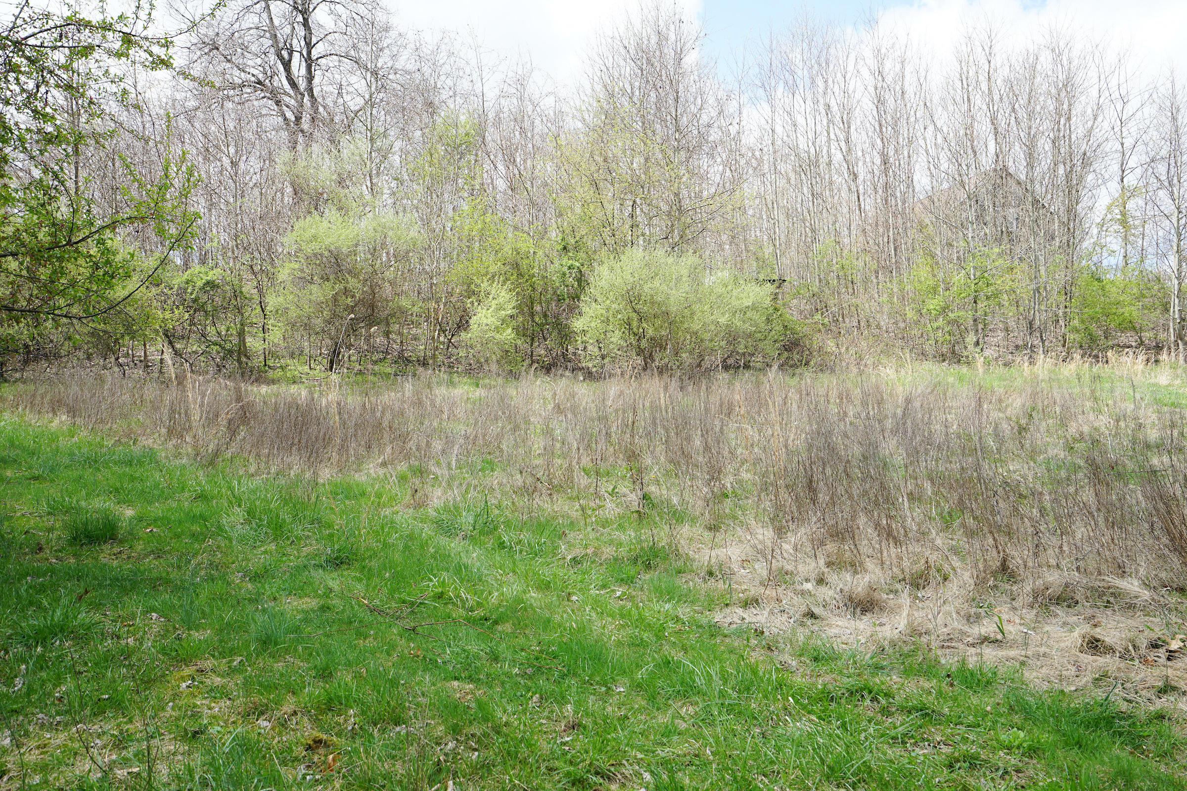 4404 Hunt Road Hopewell, OH 43746 - Photo 7 of 22