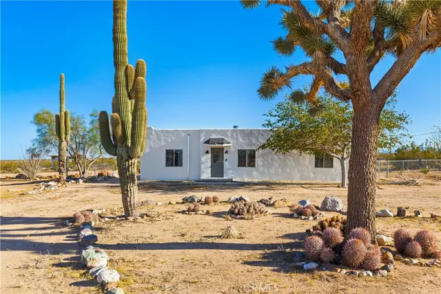 a view of a backyard of the house